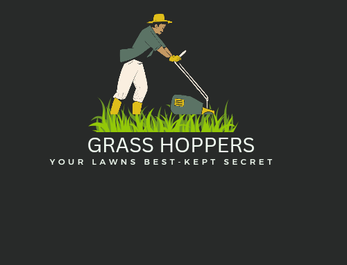 Grasshoppers